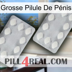 Grosse Pilule De Pénis 17